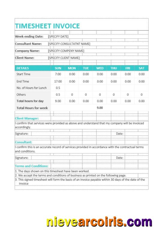 Sample Timesheet Invoice